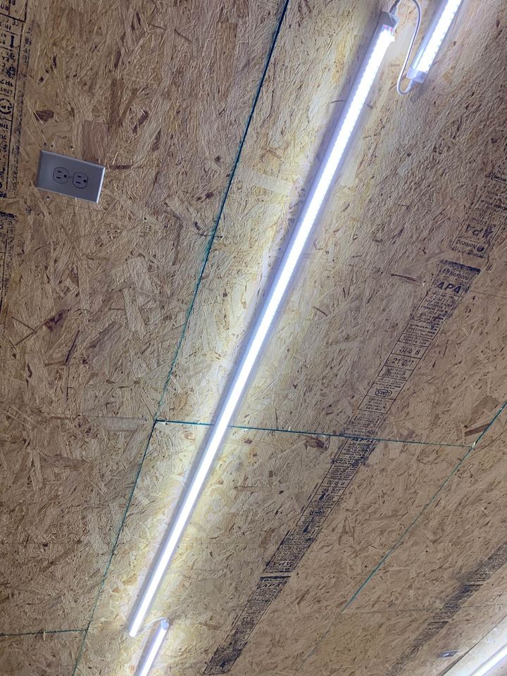 8 Pack of 8ft 144 watt
